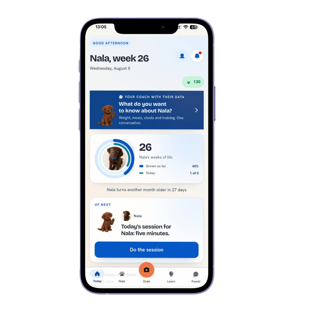 PawAI home screen showing Nala's daily plan and five-minute session
